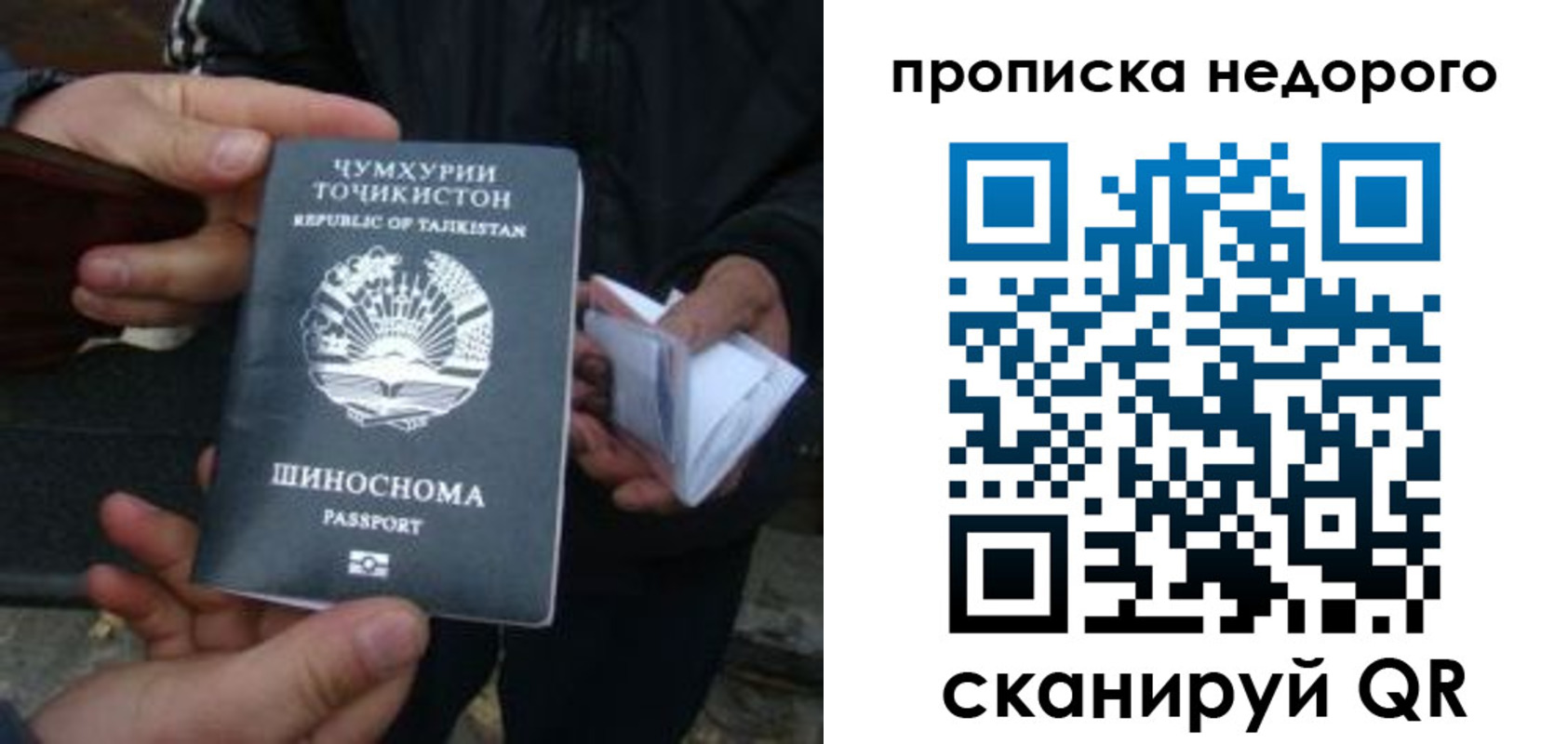 миграционный учет в Кольчугино